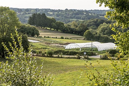 Ferme agroecologique"Courgette et Poulette"