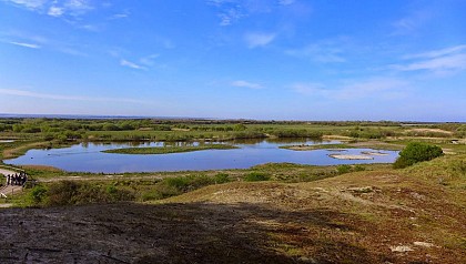 Le parc de Marquenterre