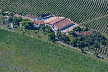 Château Pierre de Montignac : gite Anthocyane