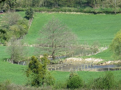 Point de vue sur la vallée de la Scie