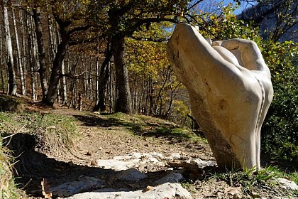 Le Chapelet vertébral