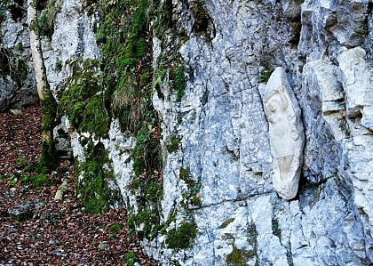 La Dame aux ipomées