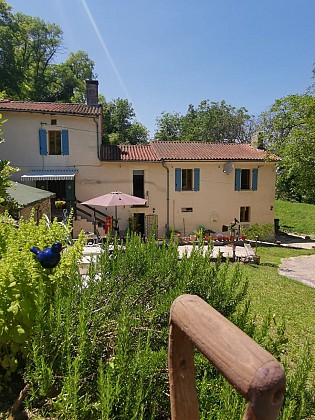 Gîte "The Walnut Tree" (Le Noyer)