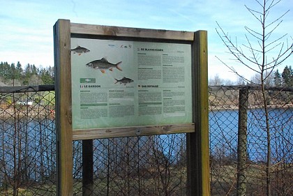 Educational trail at the lake of Robertville