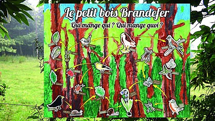 La vie des sous-bois du Tertre de Brandefer