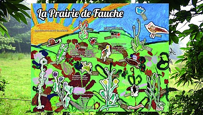 Les prairies de fauche du Tertre de Brandefer