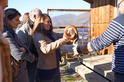 La ferme des reptiles