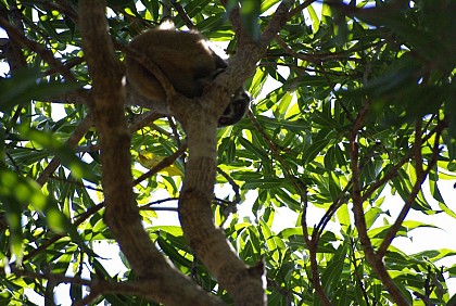 Presqu'île de Katsepy Majunga