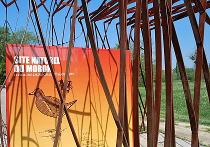 WINDOWS ONTO THE ESTUARY