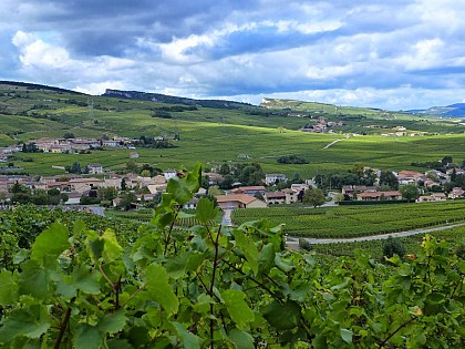 Vue sur les Roches de Solutré et Vergisson