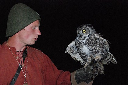 Le Jardin des Hiboux
