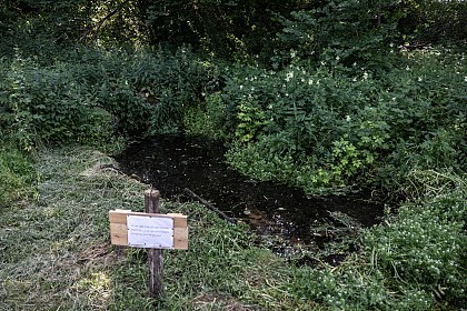 La source Enaba  (ou Nabat) & la source Fontane