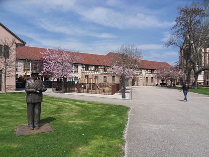 Jesuit parc