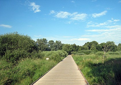 RÉSERVE ORNITHOLOGIQUE DE LA CUSSIGNIÈRE