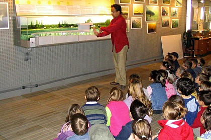 Observatoire des poissons migrateurs