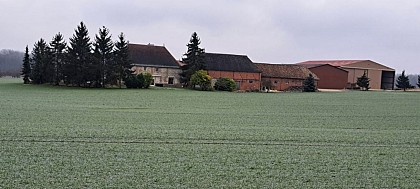 ferme de Nuisement