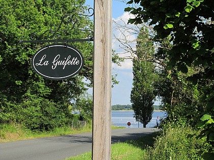 La Guifette