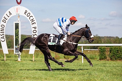 Hippodrome de la Roche-Posay