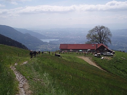 Chalet Chappuis