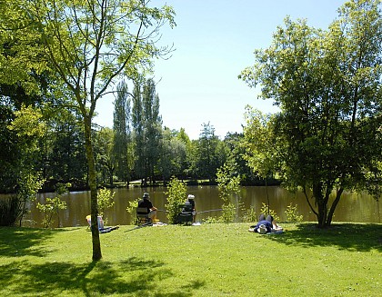 Sentier de la Lande à Challans