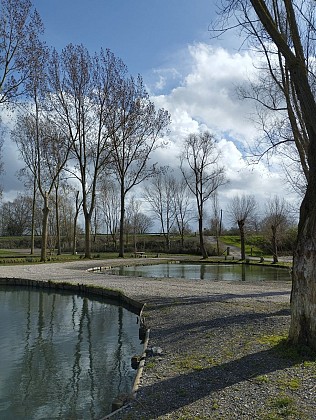 Etang de pêche Pas-de-Calais - Etangs du Parc​ de La Biette