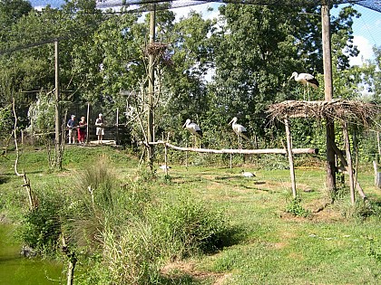 Parc Ornithologique les Oiseaux du Marais poitevin