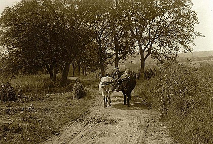 Le chemin des Boeufs