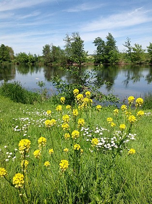 Bords de Creuse à La Roche-Posay