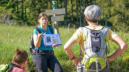 HistoireS de RésistanceS: guided tour of the Maquis trail on the Plateau de Retord