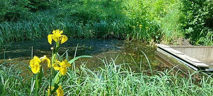 Jardin naturel Pierre-Emmanuel (1995)