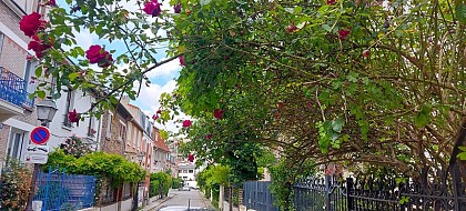 Campagne à Paris