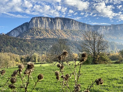 Camping l'Arc en Ciel - Chartreuse