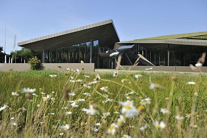 Le Café de l'Historial