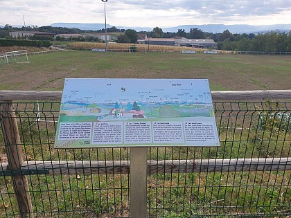 Forêt de Tire-Gerbe