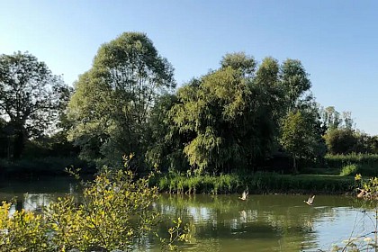 Gîte Domaine de la Frenelle