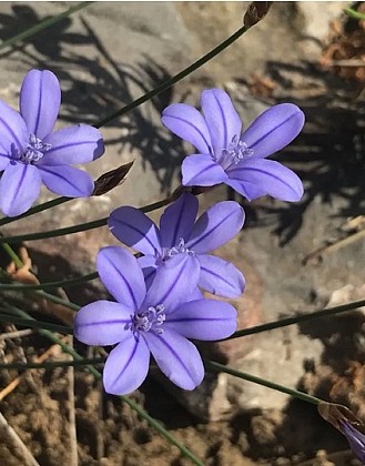 Un paysage à l'accent méditerranéen
