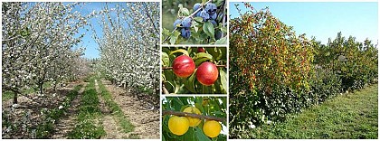 Domaine Agroécologique de Barolle