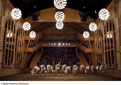 Equestrian Academy of Versailles