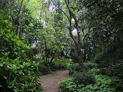 Aire naturelle de camping Les Tilleuls