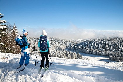 Domaine de ski alpin de Terre Ronde
