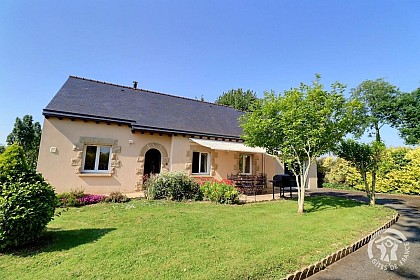 Les oiseaux de passage