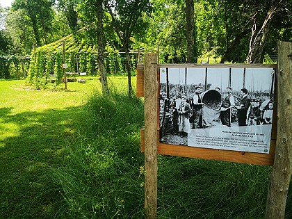 Houblonnière La KreuZe - Jardin atypique