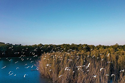 Etang du Moura