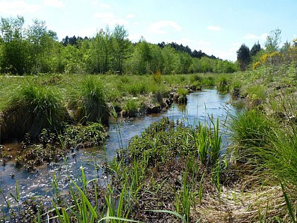 Espace Naturel Sensible du Rieucourt