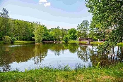 L'étang de pêche du Rayau