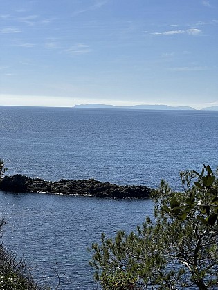 Îlot du Crocodile Marine Trail
