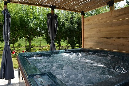 La Cabane de la Vieille Sèvre