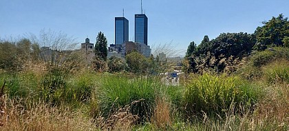 Square Emmanuel Fleury (1973)