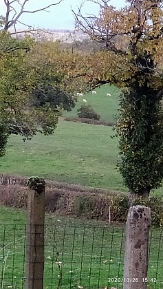 Gîte entre Morvan et Charolais
