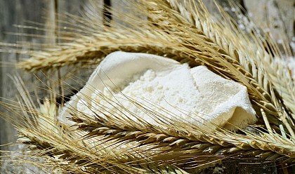 La Ferme de l'Épi-Curieux